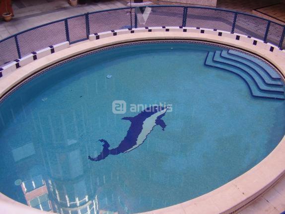 Apartamento En Torrevieja A 50M Playa Dış mekan fotoğraf